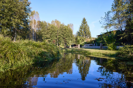 A tranquil riverbank under a clear blue sky, edged by vibrant green foliage and calm watersの写真素材