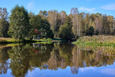 A peaceful scene of a red-roofed gazebo reflected in still water, surrounded by lush greenery under a blue skyの写真素材