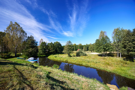 A tranquil riverbank under a clear blue sky, edged by vibrant green foliage and calm watersの写真素材