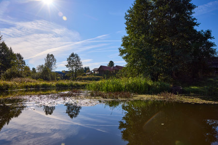 A tranquil riverbank under a clear blue sky, edged by vibrant green foliage and calm watersの写真素材