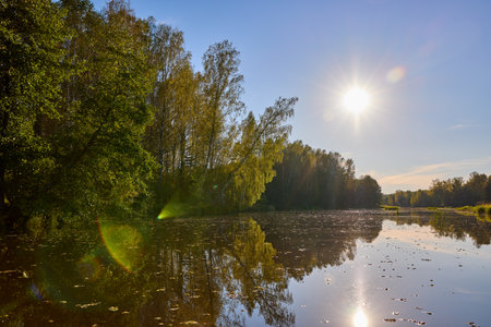 A tranquil riverbank under a clear blue sky, edged by vibrant green foliage and calm watersの写真素材