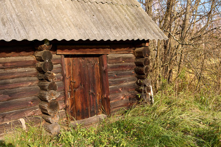 Discover the quiet allure of an old wooden door from an abandoned Russian bathhouse, blending into the tranquil beauty of autumn's embrace. A picturesque testament to history and nature's touchの写真素材