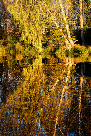 A serene scene where the vibrant foliage of trees is perfectly reflected in the still waters of a river, creating a symmetrical natural beautyの写真素材