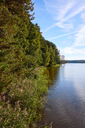 A tranquil riverbank under a clear blue sky, edged by vibrant green foliage and calm watersの写真素材