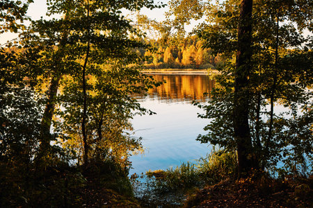 A tranquil riverbank under a clear blue sky, edged by vibrant green foliage and calm watersの写真素材