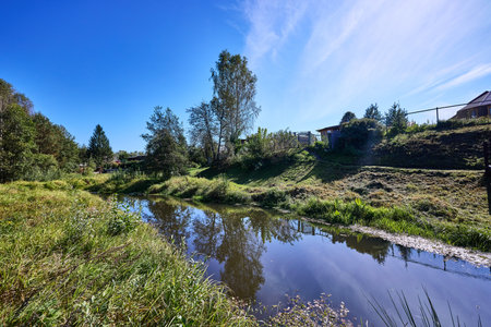 A tranquil riverbank under a clear blue sky, edged by vibrant green foliage and calm watersの写真素材