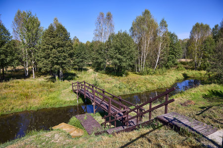 A tranquil wooden bridge spans a calm forest lake, reflecting lush trees under a clear blue skyの写真素材