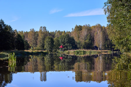 A tranquil wooden bridge spans a calm forest lake, reflecting lush trees under a clear blue skyの写真素材