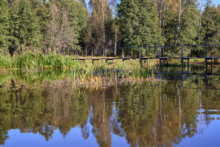 A tranquil wooden bridge spans a calm forest lake, reflecting lush trees under a clear blue skyの写真素材