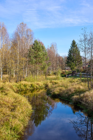 Quiet river bank under clear blue sky in autumn landscape and calm waterの写真素材