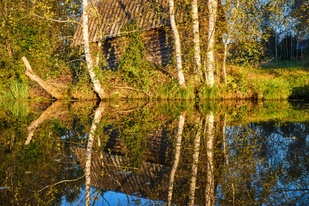 A serene riverside scene with a wooden house and lush trees, perfectly reflected in the calm waterの写真素材
