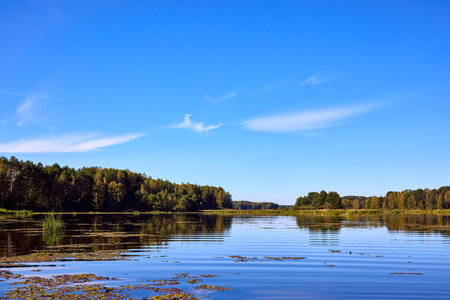 A tranquil riverbank under a clear blue sky, edged by vibrant green foliage and calm watersの写真素材