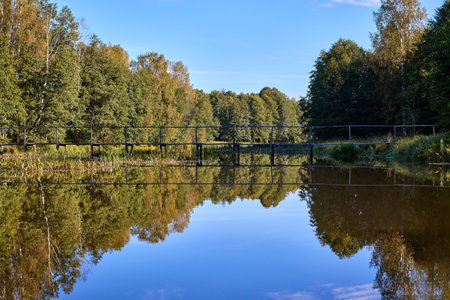 A tranquil wooden bridge spans a calm forest lake, reflecting lush trees under a clear blue skyの写真素材