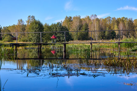 A tranquil wooden bridge spans a calm forest lake, reflecting lush trees under a clear blue skyの写真素材