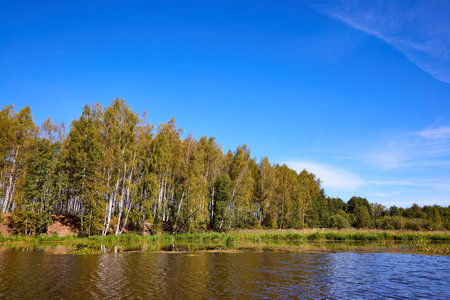 A tranquil riverbank under a clear blue sky, edged by vibrant green foliage and calm watersの写真素材