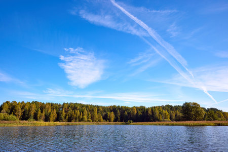 A tranquil riverbank under a clear blue sky, edged by vibrant green foliage and calm watersの写真素材