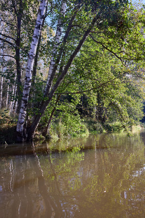 A serene scene where the vibrant foliage of trees is perfectly reflected in the still waters of a river, creating a symmetrical natural beautyの写真素材