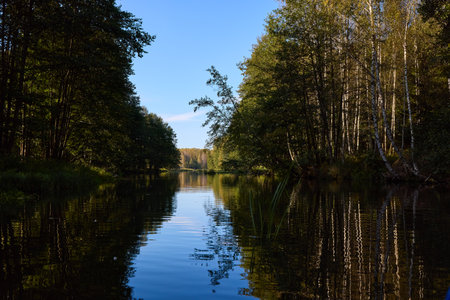 A tranquil riverbank under a clear blue sky, edged by vibrant green foliage and calm watersの写真素材