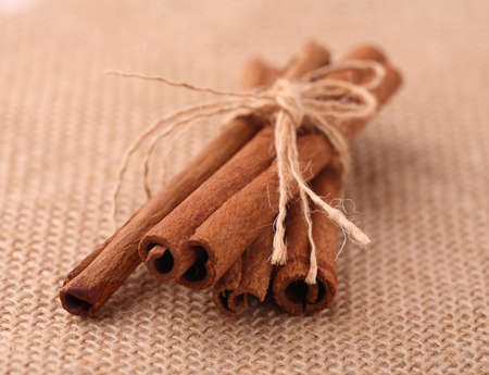 Bunch of cinnamon sticks tied withの写真素材