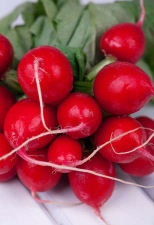 Bunch of radishes on white 