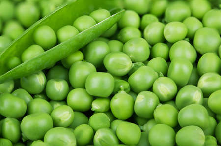Ripe green peas in a podの写真素材