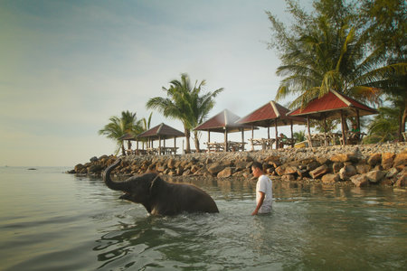 KO CHANG, TRAT/THAILAND - DECEMBER 22:  Bathing elephants in the sea on December 22, 2011 on Ko Chang, Thailand. Nowadays, development of the tourism industry found a new use for elephants in Thailand のeditorial素材