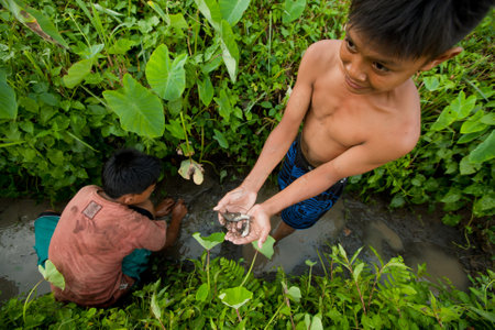 BALI, INDONESIA - MARCH 31: Unidentified poor children catch small fish in a ditch near a rice field on March 31, 2012 on Bali, Indonesia. のeditorial素材