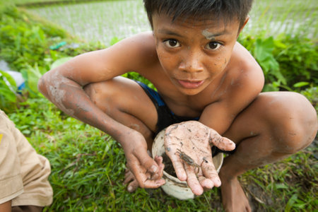BALI, INDONESIA - MARCH 31: Unidentified poor children catch small fish in a ditch near a rice field on March 31, 2012 on Bali, Indonesia. のeditorial素材
