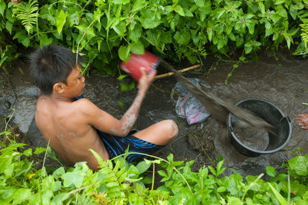 BALI, INDONESIA - MARCH 31: Unidentified poor children catch small fish in a ditch near a rice field on March 31, 2012 on Bali, Indonesia. のeditorial素材