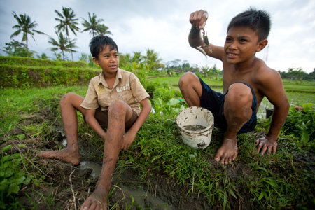 BALI, INDONESIA - MARCH 31: Unidentified poor children catch small fish in a ditch near a rice field on March 31, 2012 on Bali, Indonesia. のeditorial素材