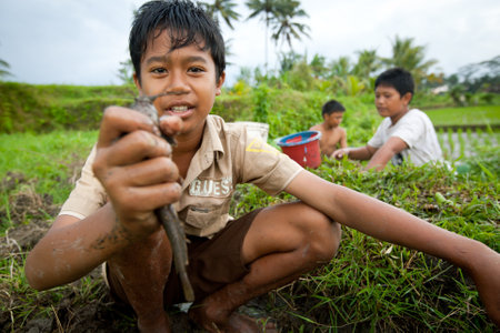 BALI, INDONESIA - MARCH 31: Unidentified poor children catch small fish in a ditch near a rice field on March 31, 2012 on Bali, Indonesia.のeditorial素材