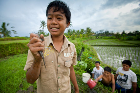 BALI, INDONESIA - MARCH 31: Unidentified poor children catch small fish in a ditch near a rice field on March 31, 2012 on Bali, Indonesia. のeditorial素材