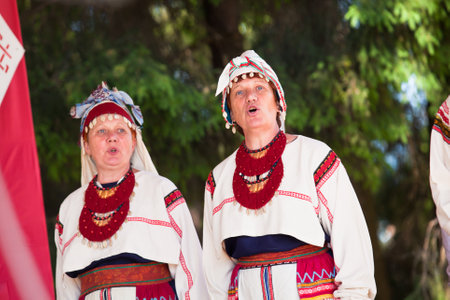 VINNICI, LENINGRAD REGION, RUSSIA - JUNE 10: Local people during celebrate the annual holiday Vepsian national culture Tree of Life (vepssk.Elo-pu), June 10, 2012 in the village Vinnici, Russia.のeditorial素材
