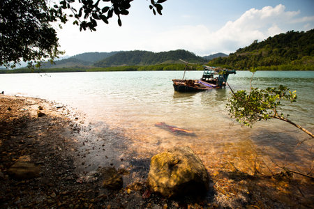 KO CHANG, THAILAND - JAN 31: Boats in the Salakphet fishing village, Jan 31, 2013 on Ko Chang, Thailand. In Thailand second most important (after agriculture) occupation - is fishing (3% of population) のeditorial素材