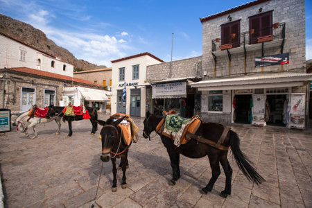 HYDRA, GREECE - MAY 7: View of Hydra town in May 7, 2013 in Hydra, Greece. Hydra island (20.1 sq mi, pop.1900) was and is one of the major centers of artistic creation, the island hosted many artists.のeditorial素材