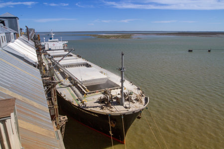 BAHIA BLANCA, ARGENTINA - NOV 30: View on the premises Port of Ingeniero White, Nov 30, 2010 in Bahia Blanca, Argentina. Now is a major trading port, 2nd largest and deepest port in the country.のeditorial素材