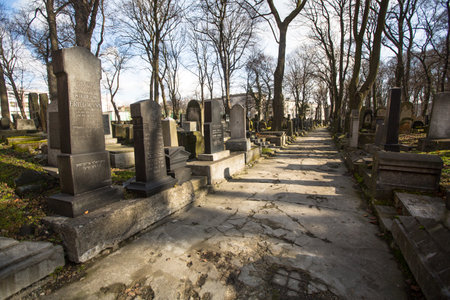 KRAKOW, POLAND - FEB 17, 2013: New Jewish Cemetery in the historic Jewish neighborhood of Kazimierz,...