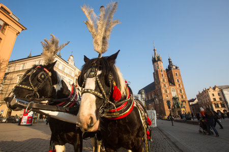 KRAKOW, POLAND - FEB 26, 2014: Carriages at Main Market Square. It dates to the 13th century, and at roughly 40,000 m it is the largest medieval town square in Europe.のeditorial素材