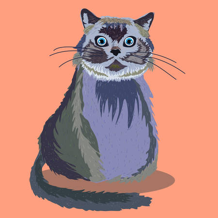 Big cute fluffy catのイラスト素材