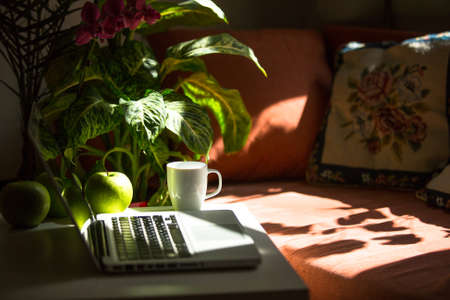 Laptop keyboard in a cosy home or officeの写真素材