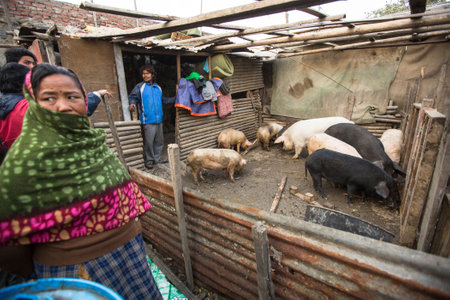 KATHMANDU, NEPAL - DEC 19, 2013: Unidentified local people near their homes in a poor area of the city. The caste system is still intact today but the rules are not as rigid as they were in the past.のeditorial素材