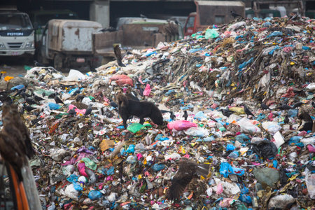 KATHMANDU, NEPAL - DEC 19, 2013: Pile of domestic garbage at landfills. Only 35% population of Nepal have access to adequate sanitation.のeditorial素材