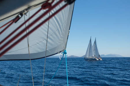 Sailing regatta. Yachting. Luxury yachts.の写真素材