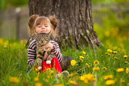 Funny lovely little girl playing with a catの写真素材