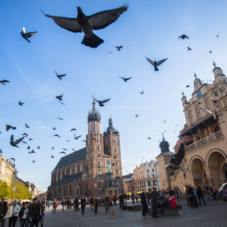 KRAKOW, POLAND - NOV 11, 2014: Unidentified participants celebrating National Independence Day an Republic of Poland - is a public holiday, celebrated every year from 1918 year.のeditorial素材