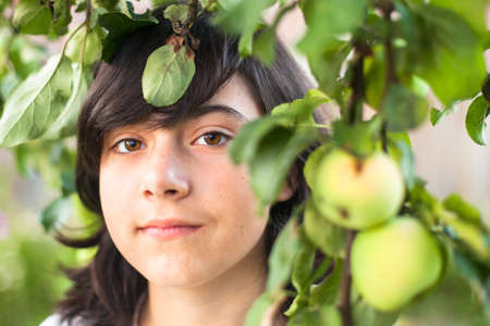 Young cute girl in the apple orchard, closeup portrait.の写真素材