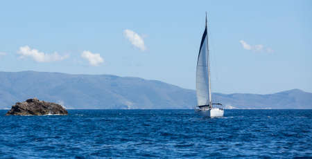 Sailboats participate in sailing regatta. Yachting. Luxury yachts.