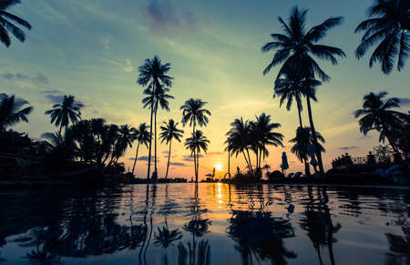 Beautiful sunset on a tropical beach with palm trees reflection in the water.の写真素材