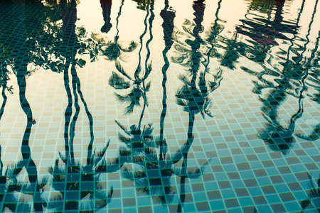 Tropical palm trees reflection in the water pool.の写真素材