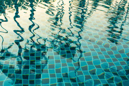 Reflection of palm trees in the pool water.の写真素材